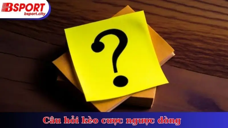 Câu hỏi kèo cược ngược dòng