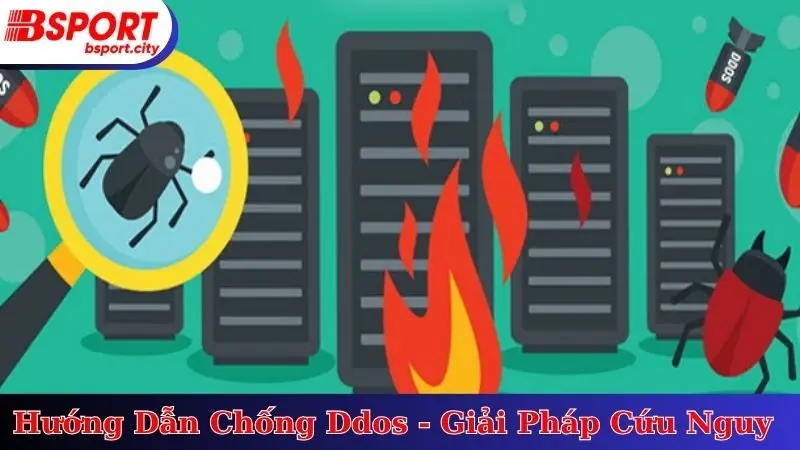 Hướng Dẫn Chống Ddos